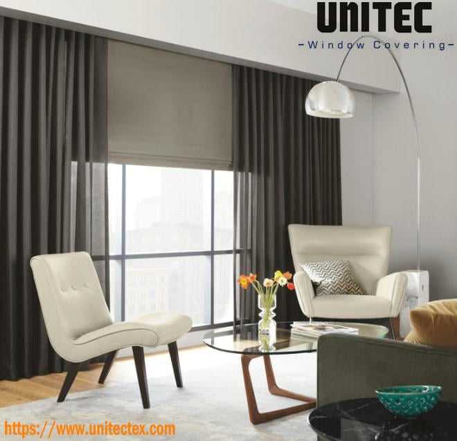 Curtain and Blinds combination