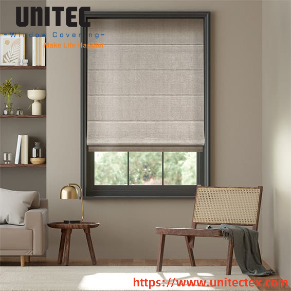 Blackout shades behind Blinds