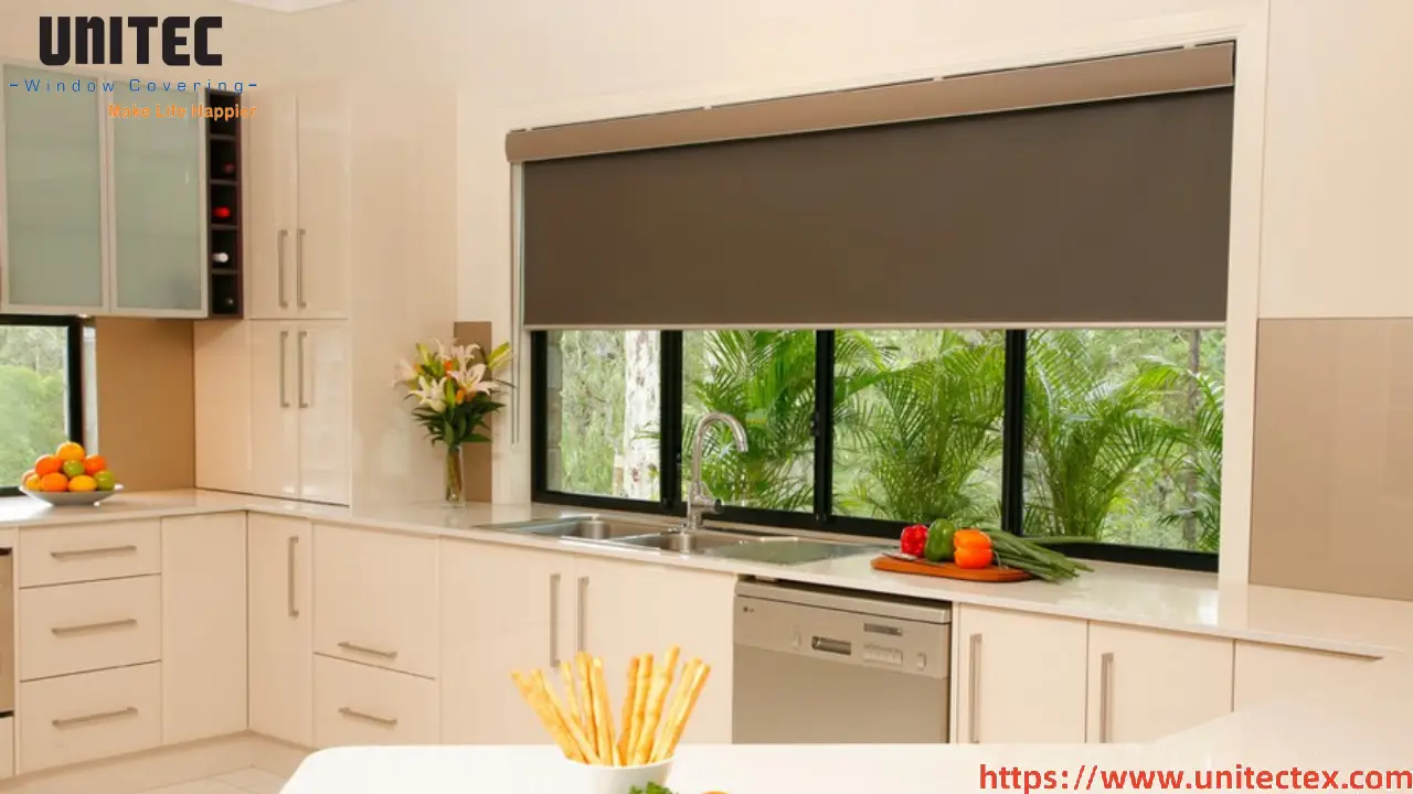 blackout roller shades black