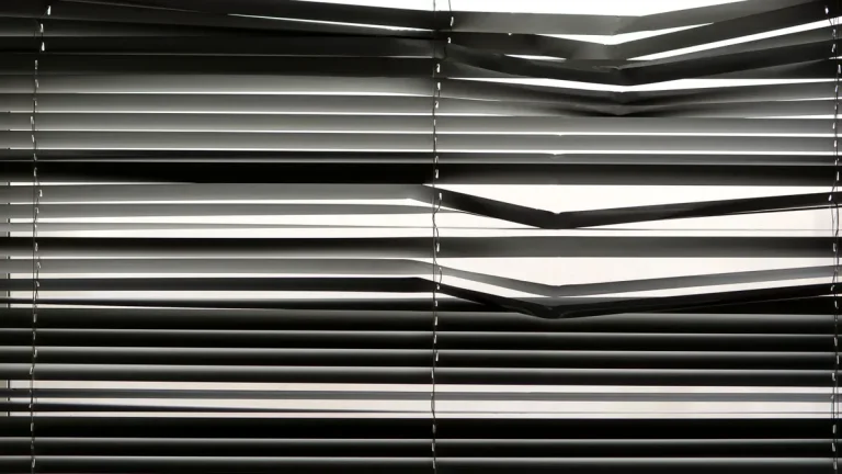 Pros and Cons of Dual Roller Blinds Versus Single Roller Blinds