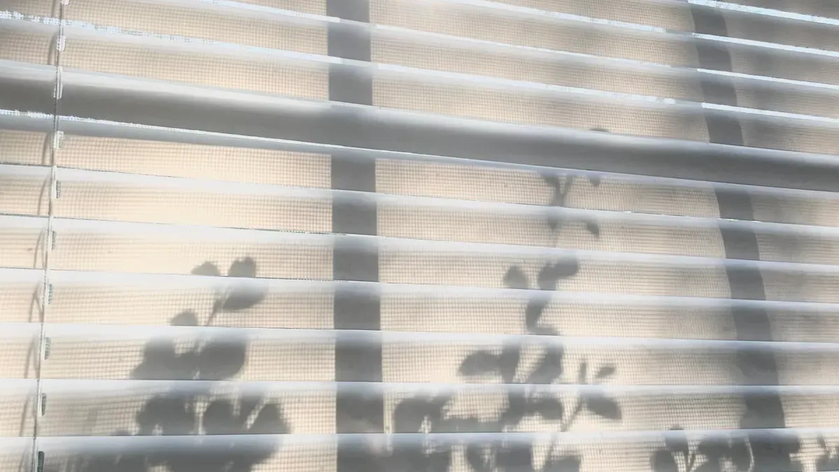 Best Light Filtering Roller Shades for Privacy and Style